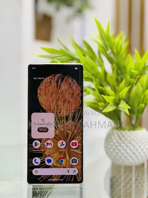 Google Pixel 6 Pro (Used)