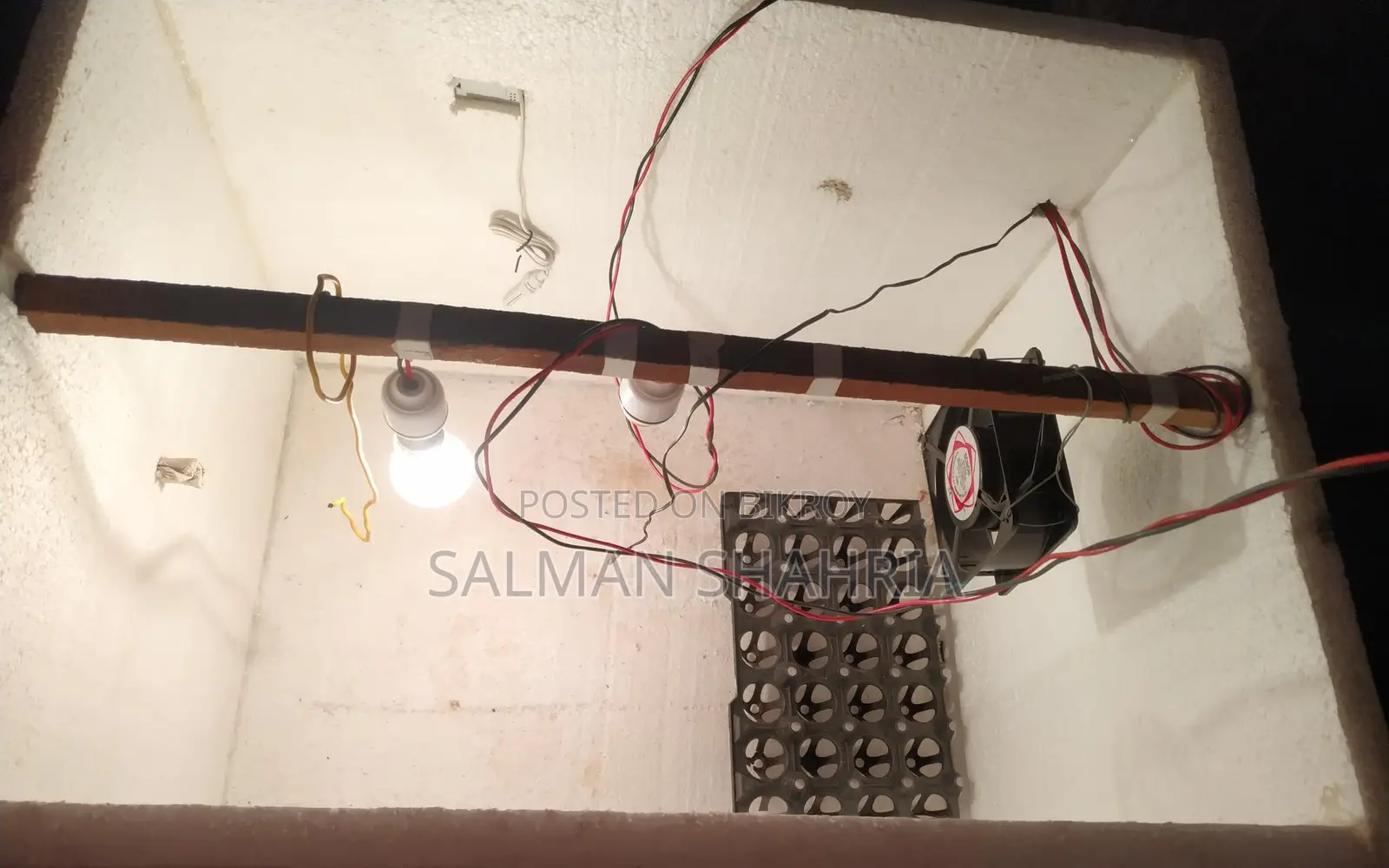 ইনকিউবেটর বিক্রি