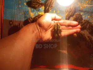 10-Day-Old Quail Chicks - Fixed Price