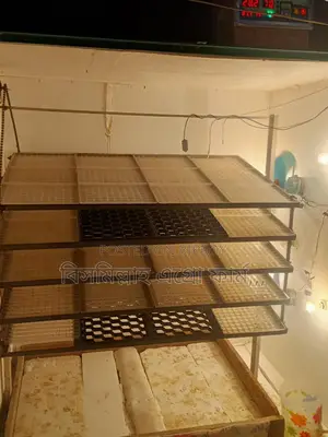 Incubator for sale