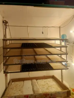 Incubator for sale