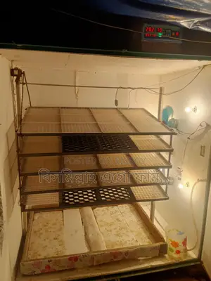Incubator for sale