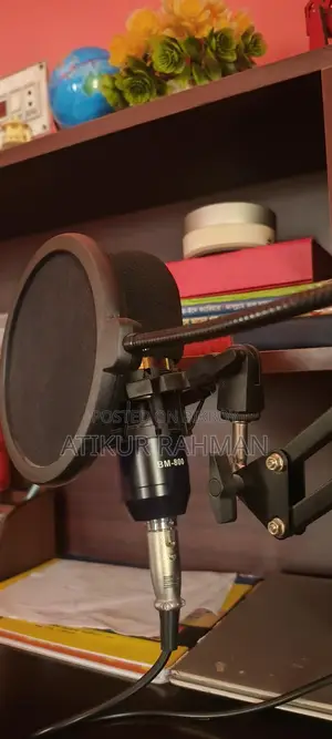 Microphone