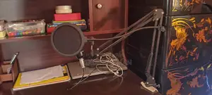 Microphone