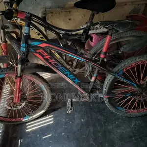 Phoenix Brand Bicycle