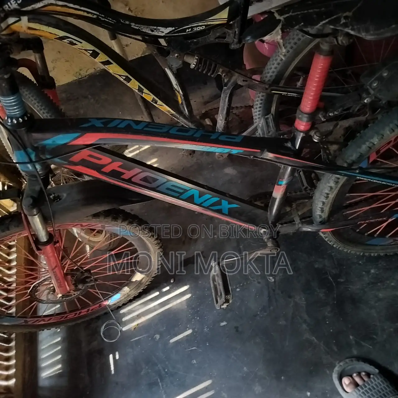 Phoenix Brand Bicycle