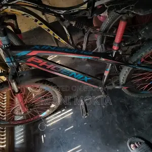 Phoenix Brand Bicycle