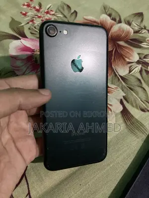 Apple iPhone 7 (Used)