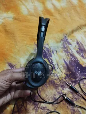 Headphone (wired)