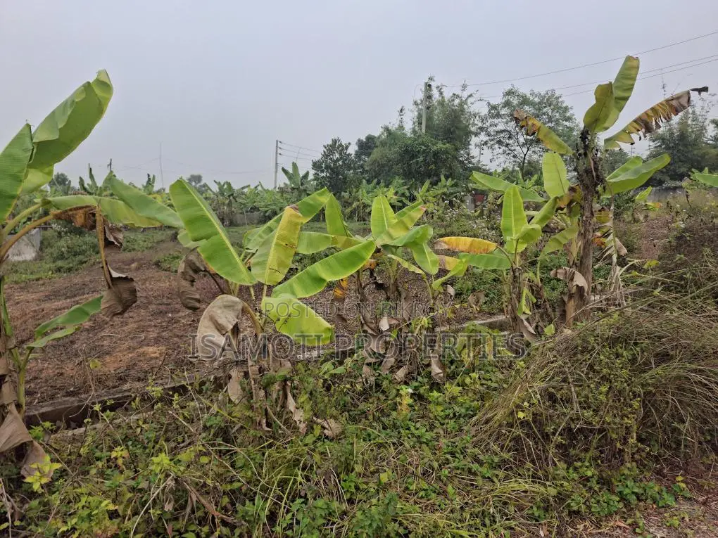 5 Katha Plot for Sale in Sector 28, Near 150ft Road
