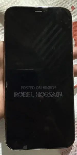 Apple iPhone 12 Pro Max ` (Used)