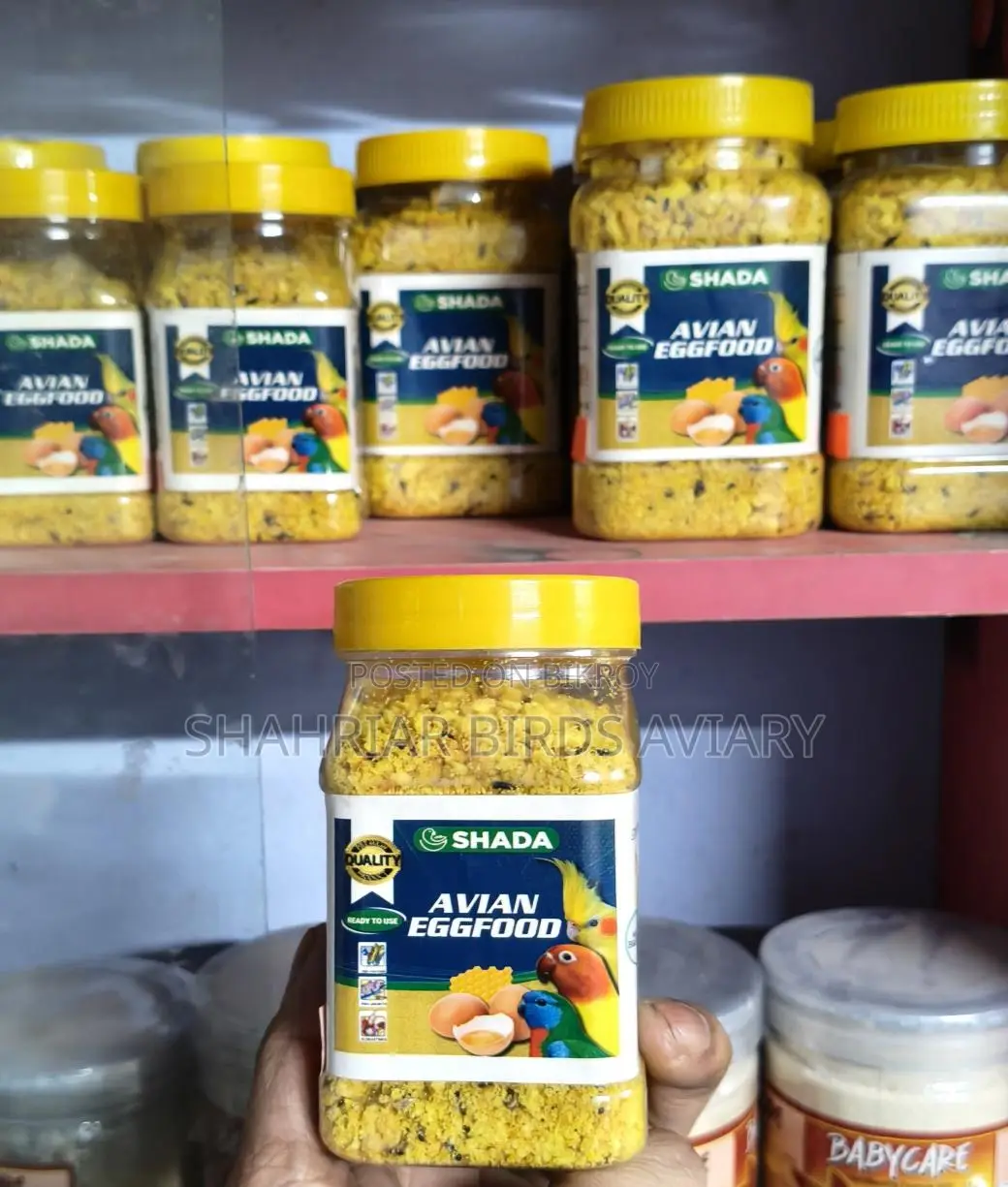 Bird Egg Food