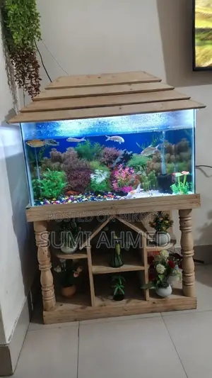 Aquarium 3ft / 1.5ft