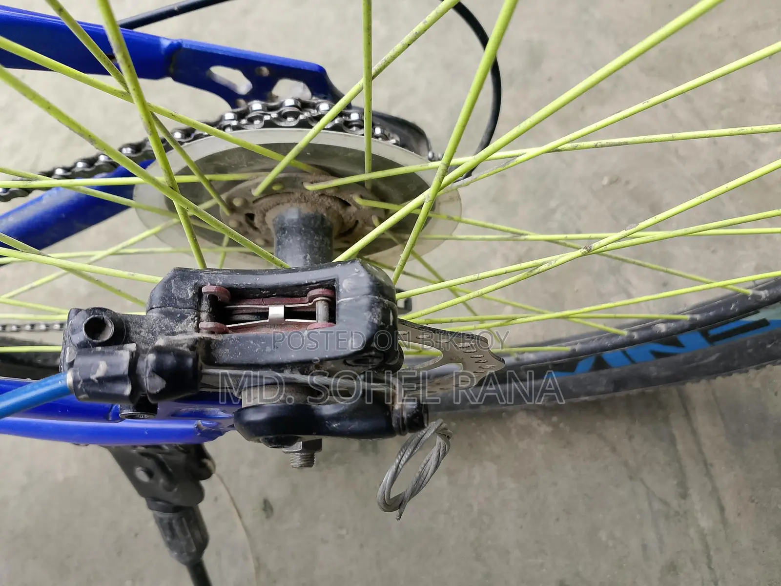 Phoenix Gear Bicycle