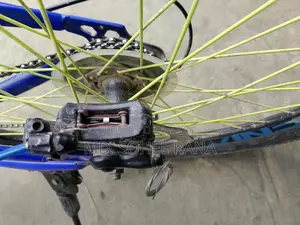 Phoenix Gear Bicycle