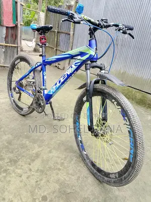 Phoenix Gear Bicycle
