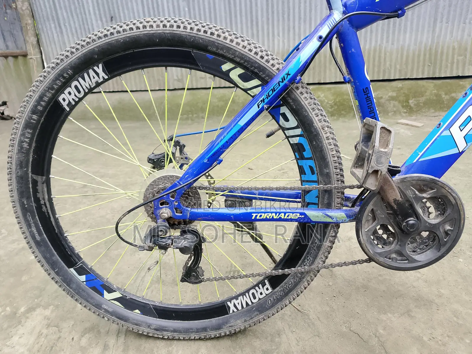 Phoenix Gear Bicycle