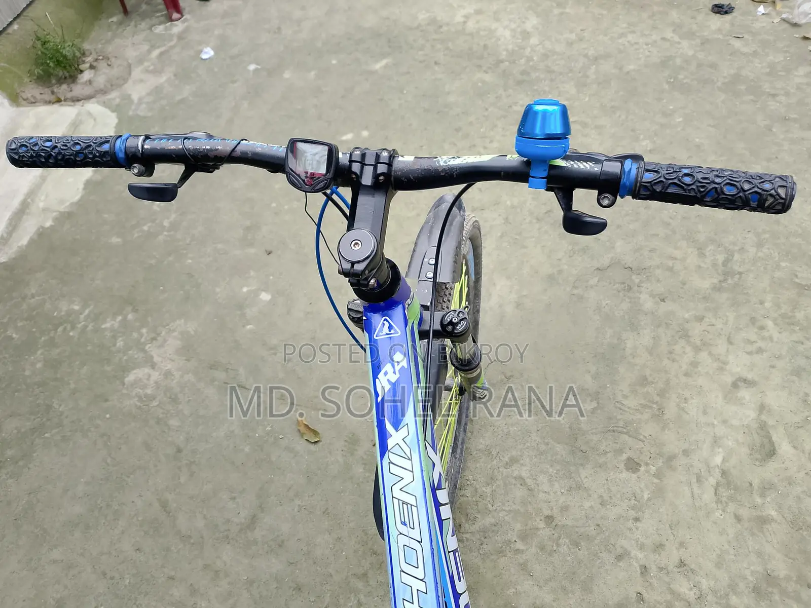 Phoenix Gear Bicycle