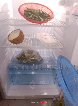 271 Liter Vision Fridge