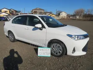 Toyota Axio EX 2021
