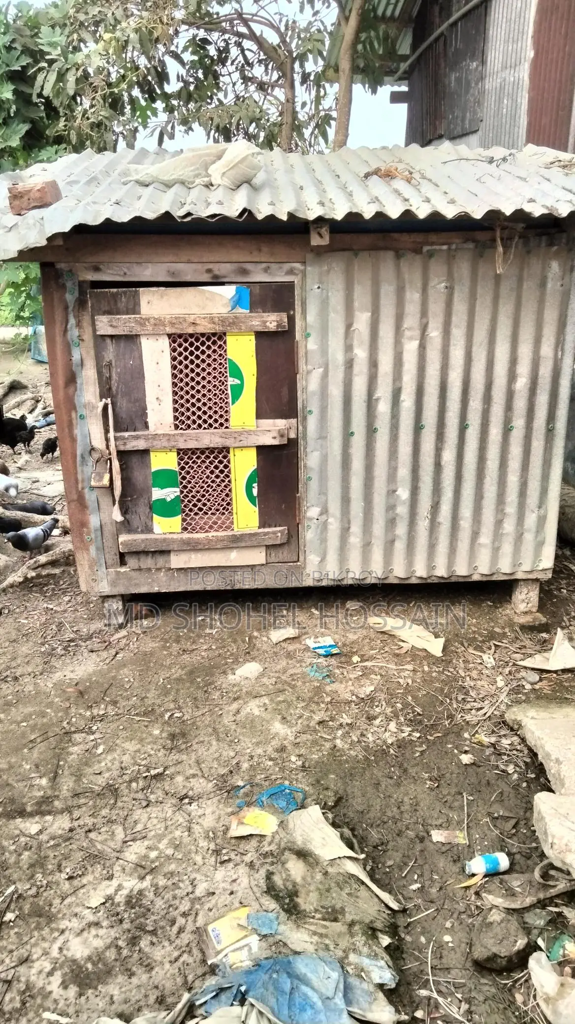 Selling Pigeon Cages and a Large Coop