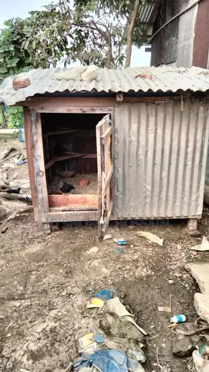 Selling Pigeon Cages and a Large Coop