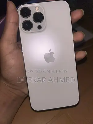 Apple iPhone 13 Pro Max (Used)