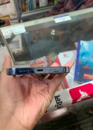 Apple iPhone 13 Pro Max (Used)