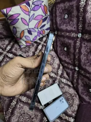 Apple iPhone 13 Pro Max . (ব্যবহৃত)