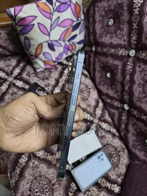 Apple iPhone 13 Pro Max . (ব্যবহৃত)