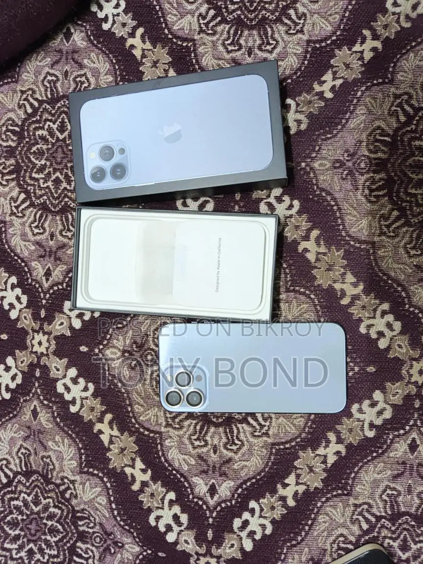 Apple iPhone 13 Pro Max . (ব্যবহৃত)