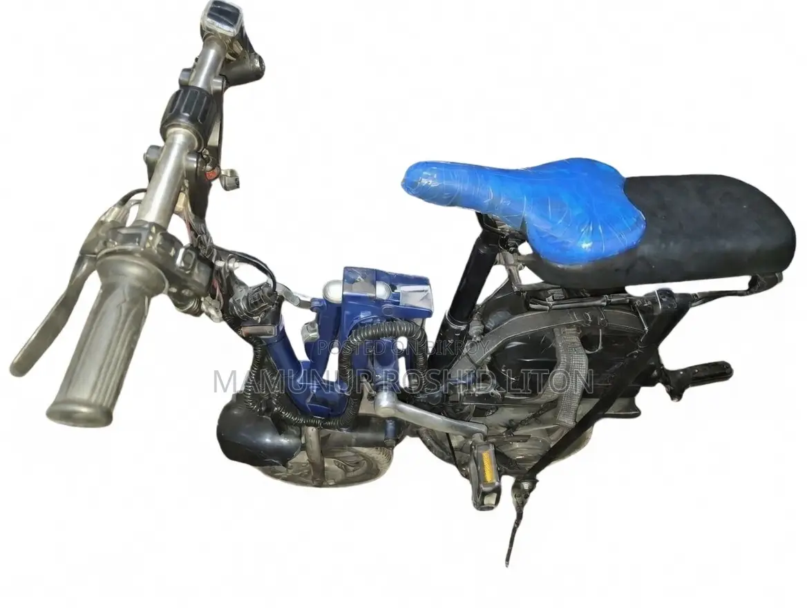Beautiful Electric Bicycle