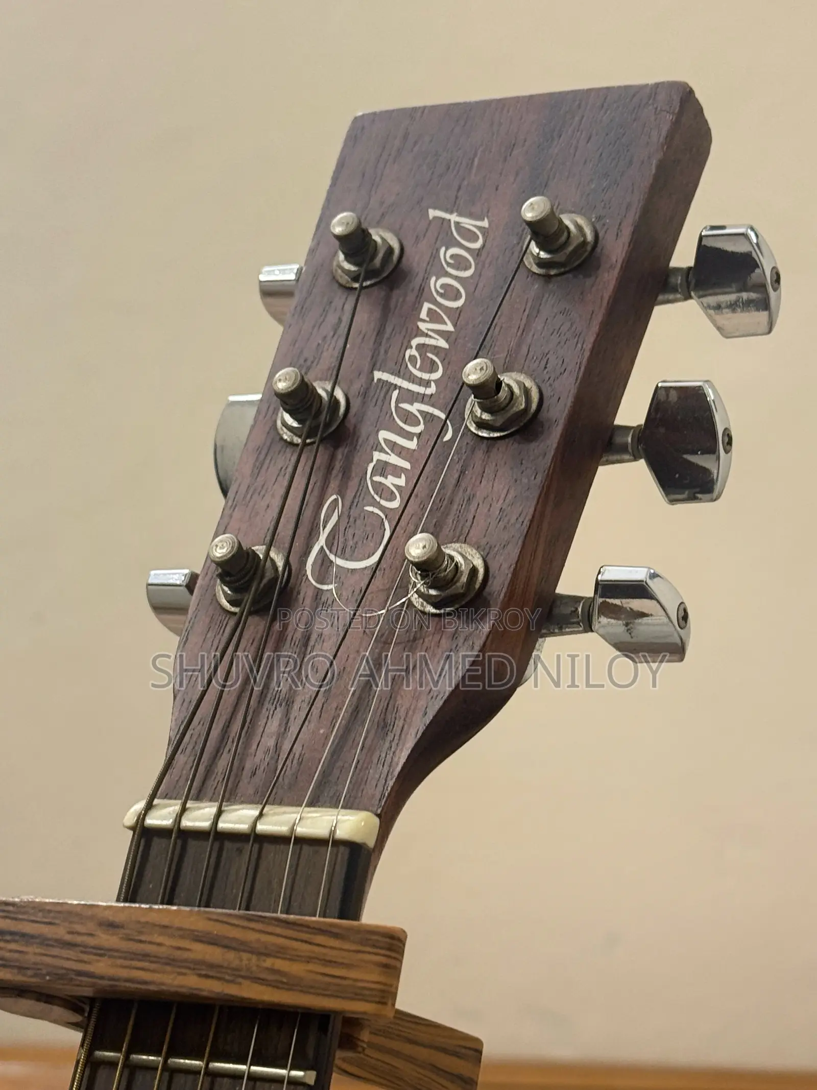 Premium Tanglewood Acoustic-electric Guitar (TWCR DE)