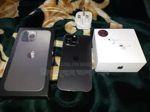 Apple iPhone 13 Pro Max (Used)