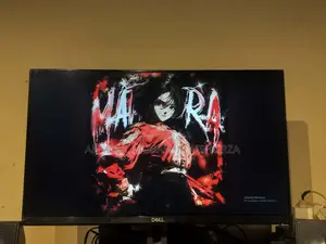 Monitor 22 Inch