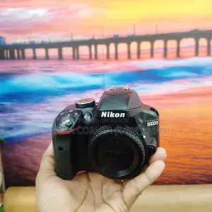 Nikon D3300 & 18-55mm lens