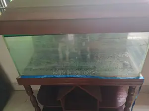 একরিয়াম