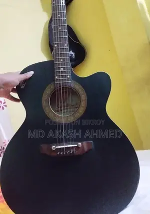 Signature 265 Guitar