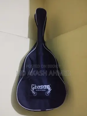 Signature 265 Guitar