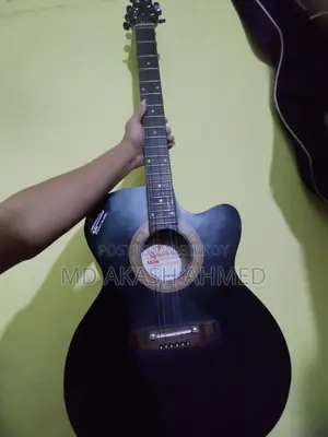 Signature 265 Guitar