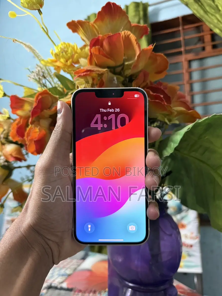 Apple iPhone 13 (Used)