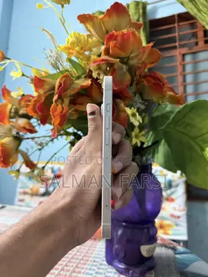 Apple iPhone 13 (Used)
