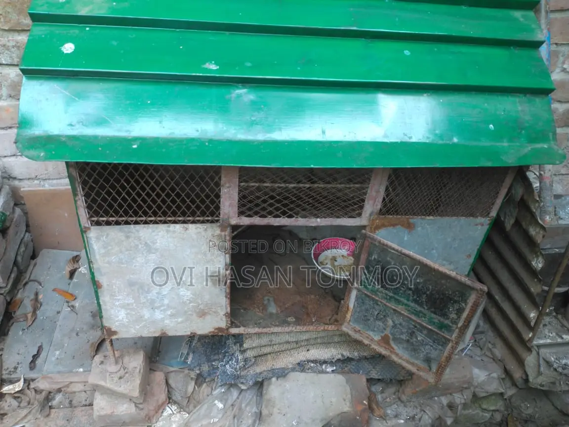 Very Sturdy and Strong Cage