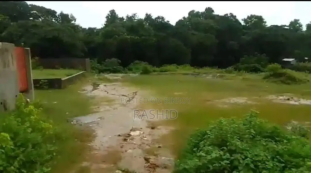 Buy Land at an Affordable Price and Build Your Future