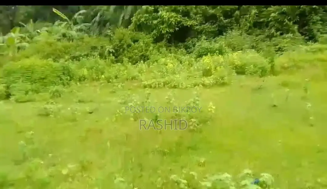 Buy Land at an Affordable Price and Build Your Future