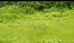 Buy Land at an Affordable Price and Build Your Future