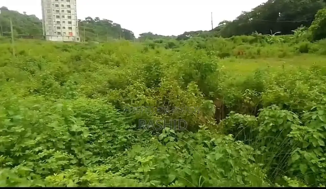 Buy Land at an Affordable Price and Build Your Future