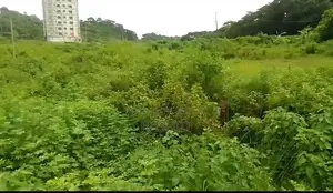 Buy Land at an Affordable Price and Build Your Future