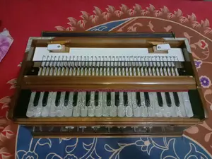 Double-Reed Harmonium for Sale