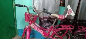 সাইকেলটি বিক্রি হবে